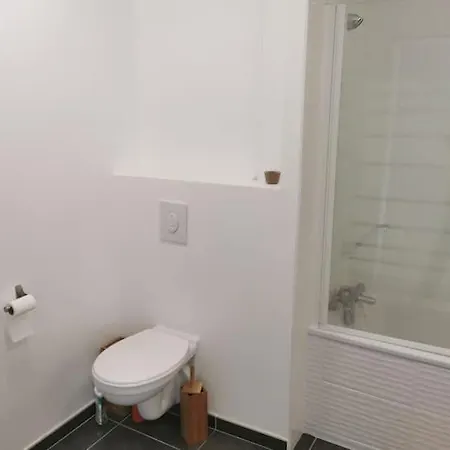 아파트 Ferney Residence *